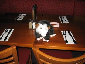 IMG_2469.JPG