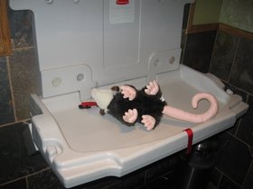 IMG_2473.JPG