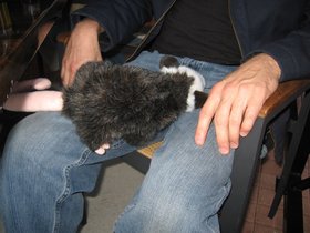 IMG_2502.JPG