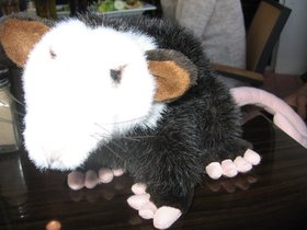 IMG_2503.JPG