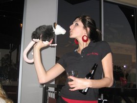 IMG_2509-2.JPG
