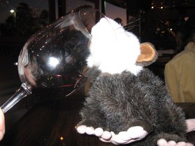 IMG_2516.JPG