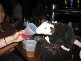 IMG_2654.JPG