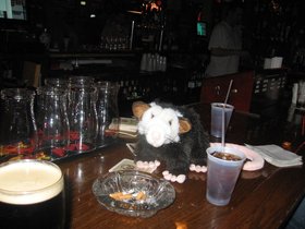 IMG_2667.JPG