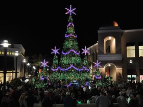 FOL_lg-2.JPG